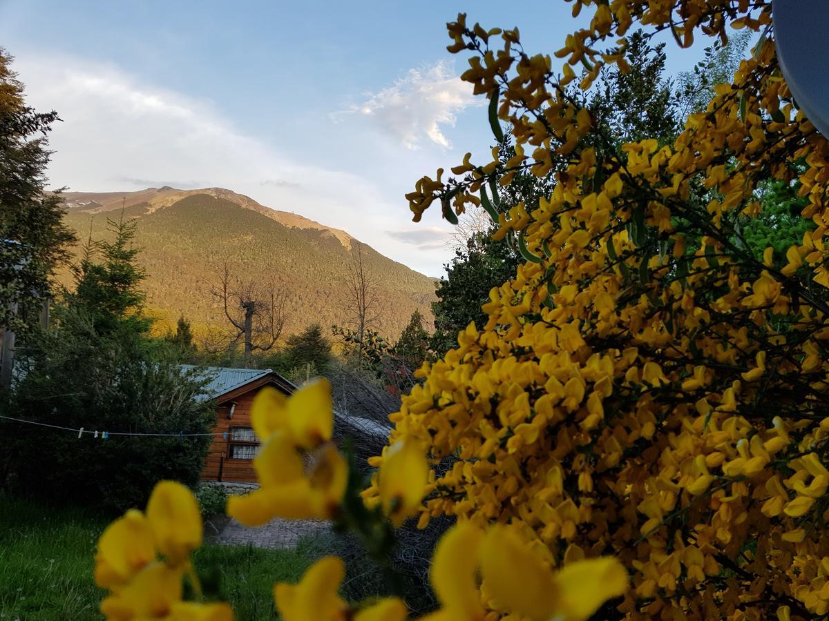Magda Villa บียาลาอังกอสตูรา ภายนอก รูปภาพ